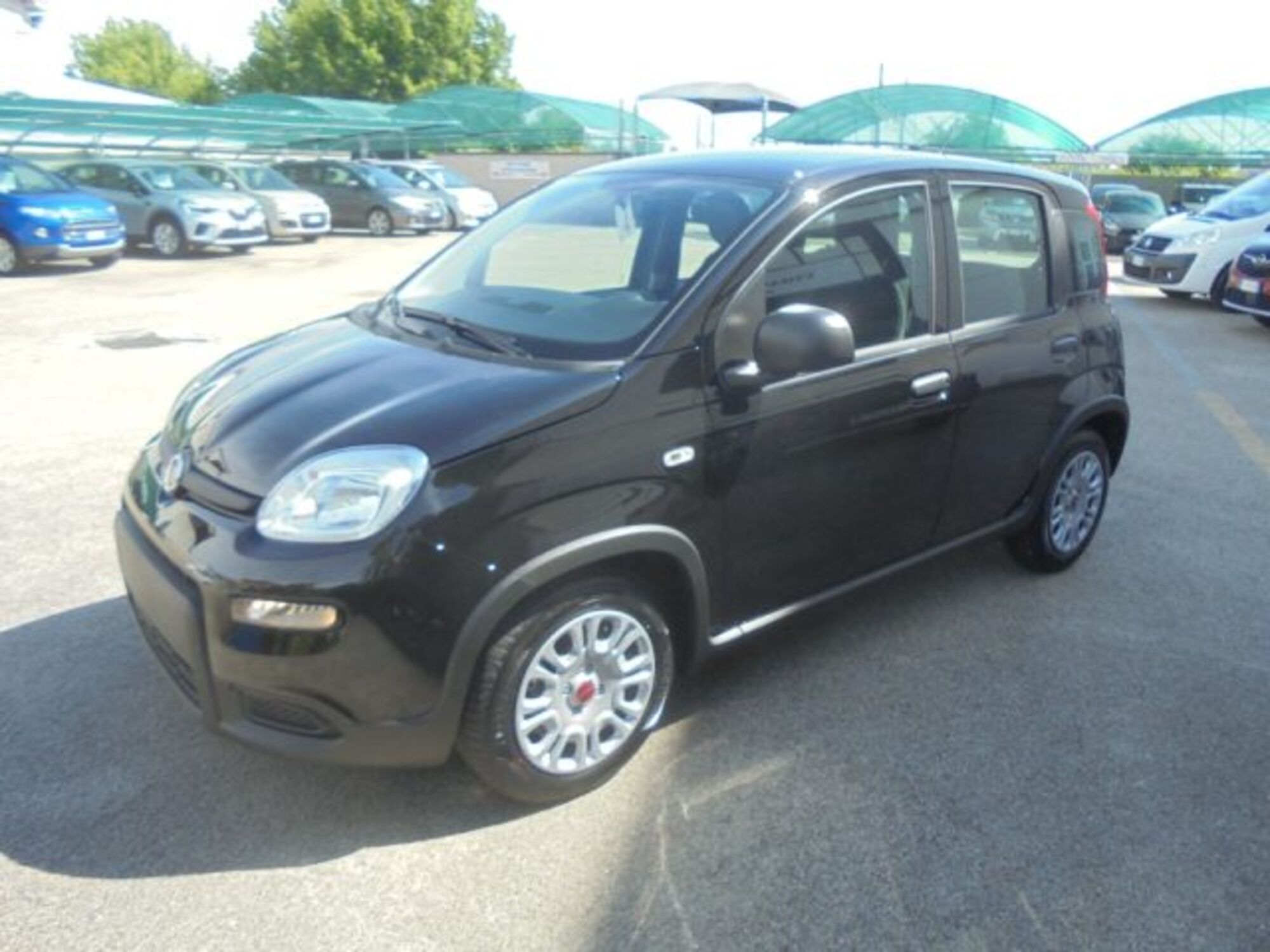 Fiat Panda 1.0 firefly hybrid s&amp;s 70cv nuova a Novara