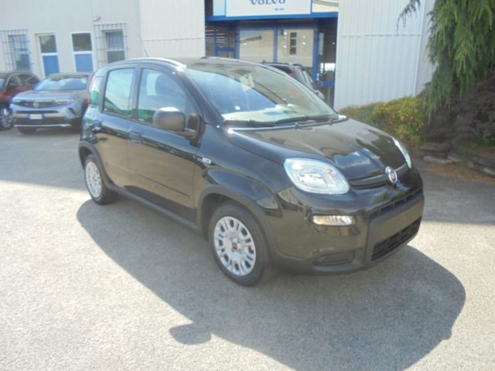 Fiat Panda nuova a Novara (2)