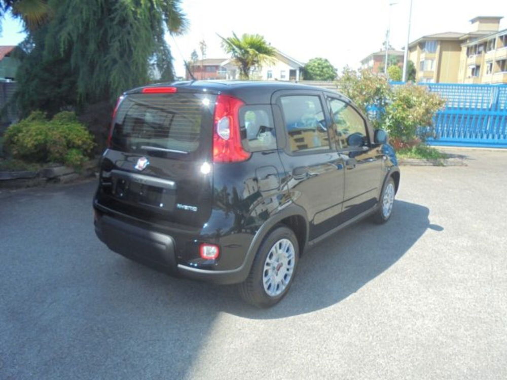 Fiat Panda nuova a Novara (3)