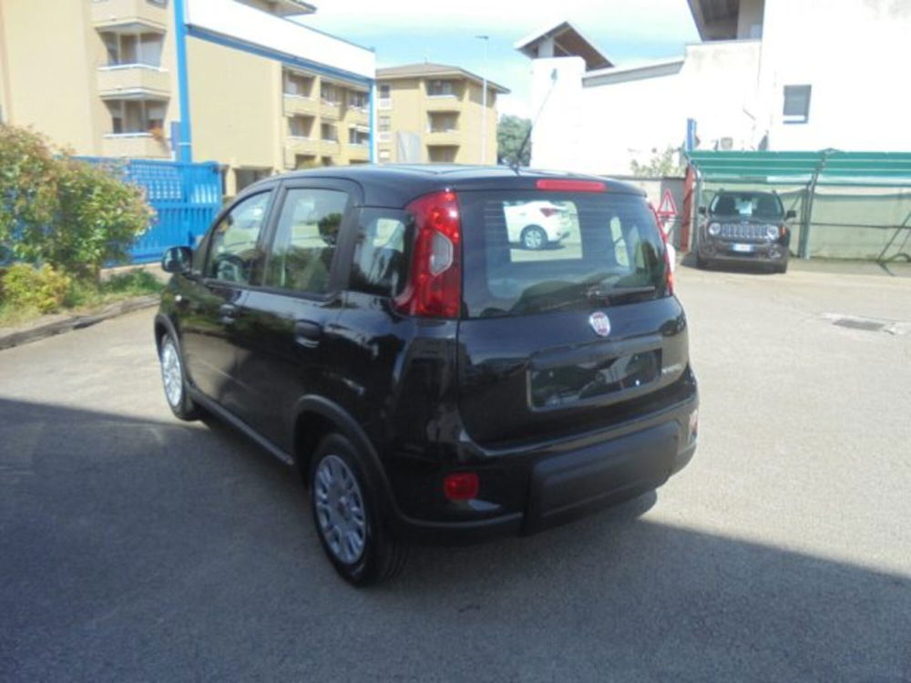 Fiat Panda nuova a Novara (5)