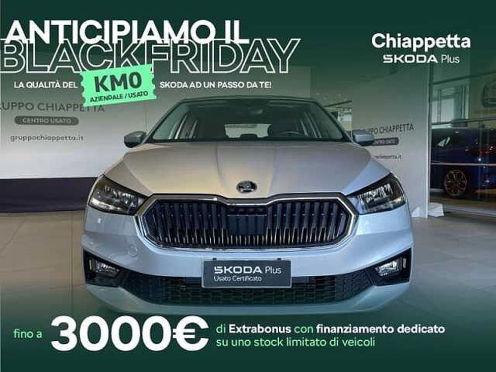 Skoda Fabia usata a Cosenza (2)