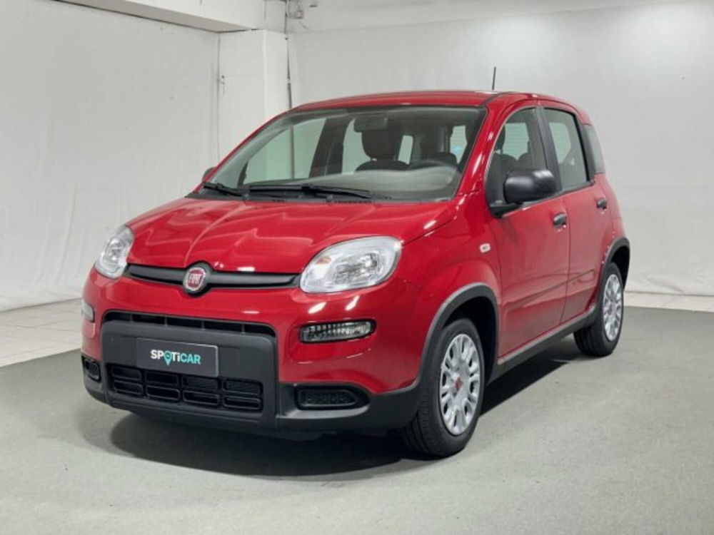 Fiat Panda nuova a Sondrio