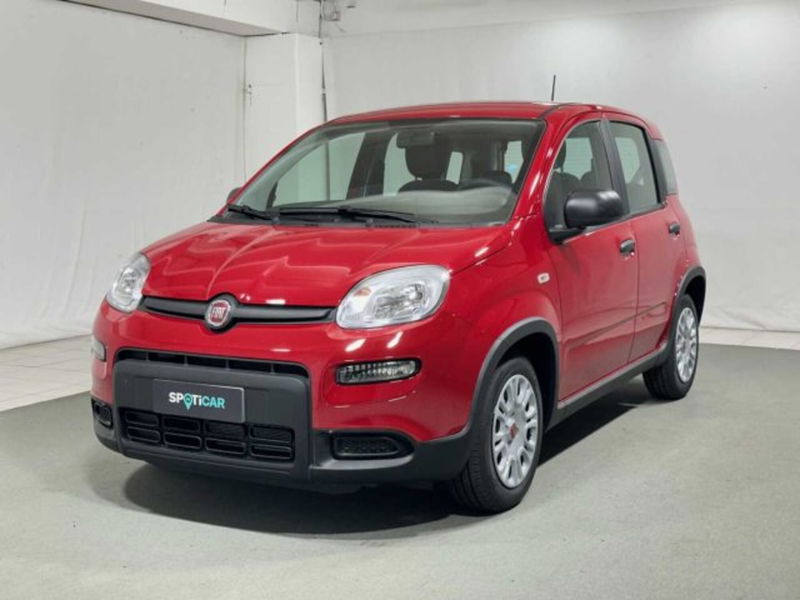 Fiat Panda 1.0 firefly hybrid s&s 70cv 5p.ti nuova a Caspoggio