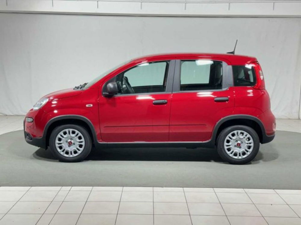 Fiat Panda nuova a Sondrio (2)