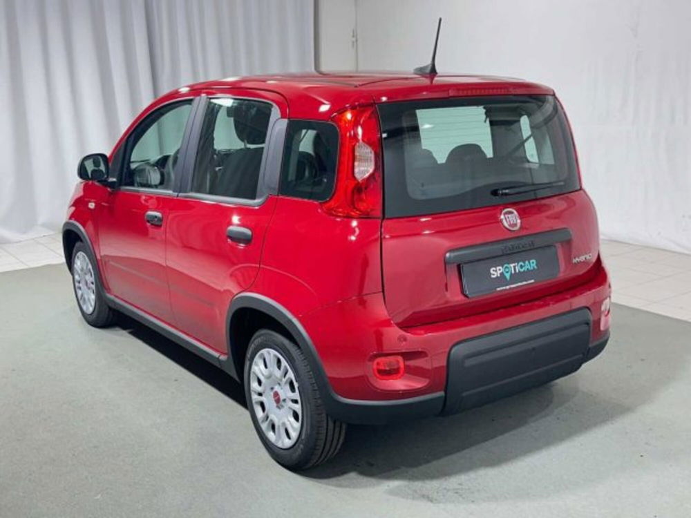 Fiat Panda nuova a Sondrio (3)