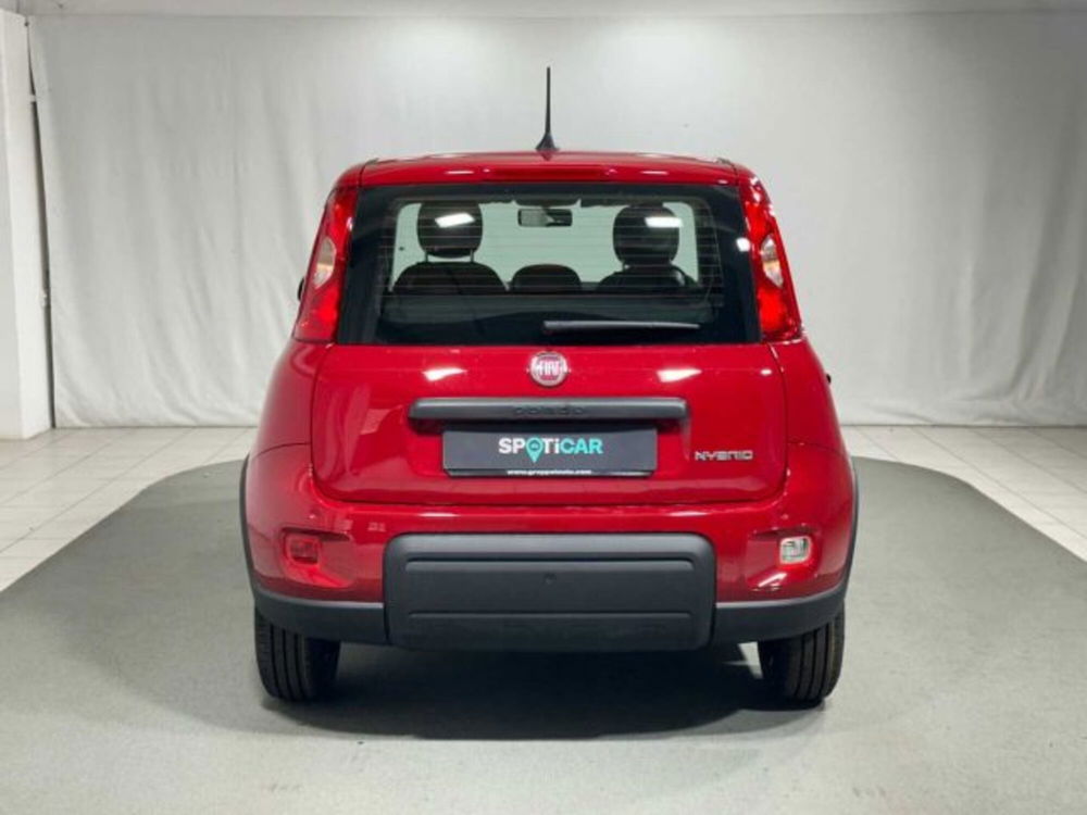 Fiat Panda nuova a Sondrio (4)