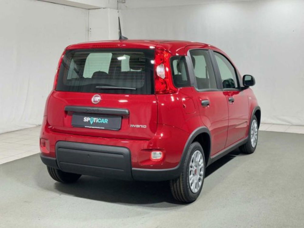 Fiat Panda nuova a Sondrio (5)