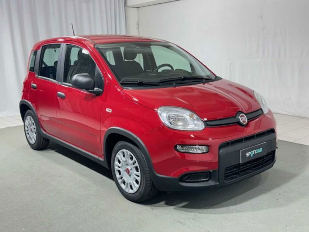 Fiat Panda nuova a Sondrio (7)