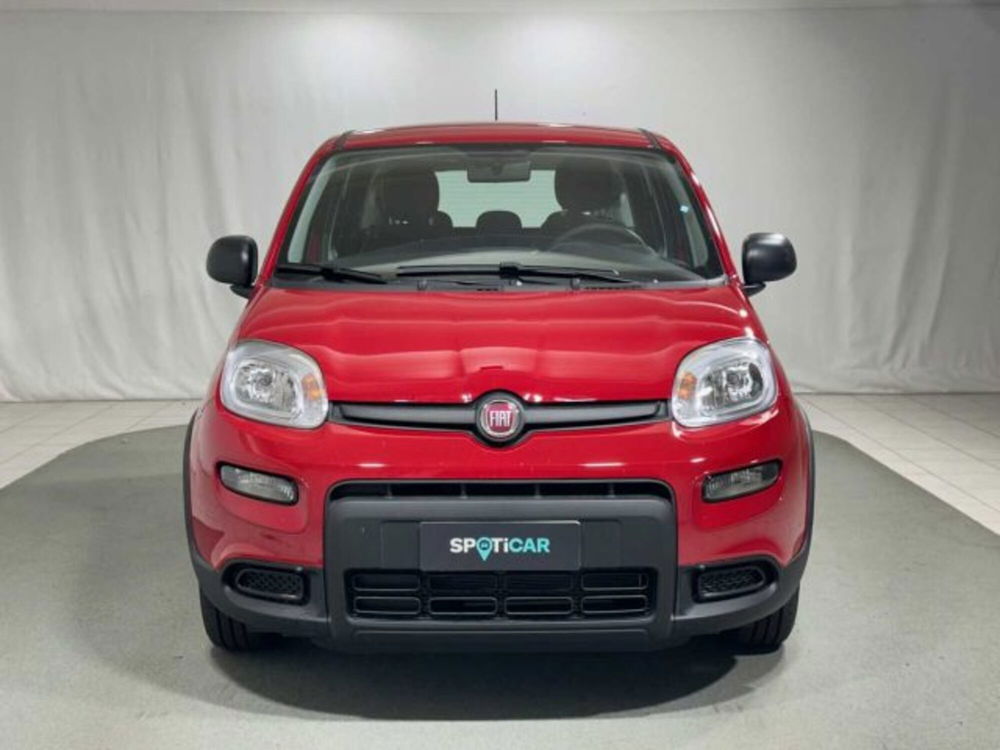 Fiat Panda nuova a Sondrio (8)