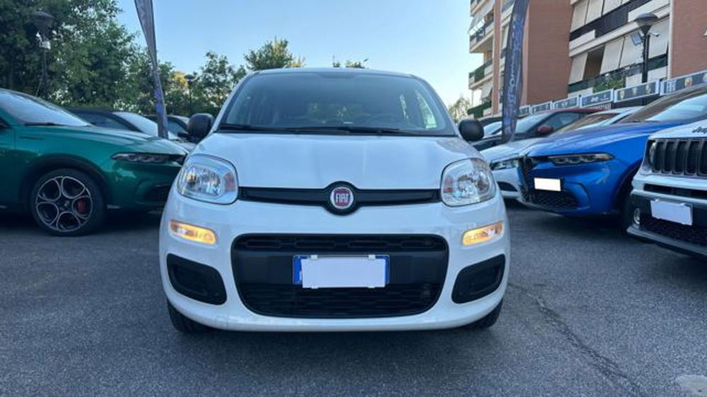 Fiat Panda usata a Roma (3)