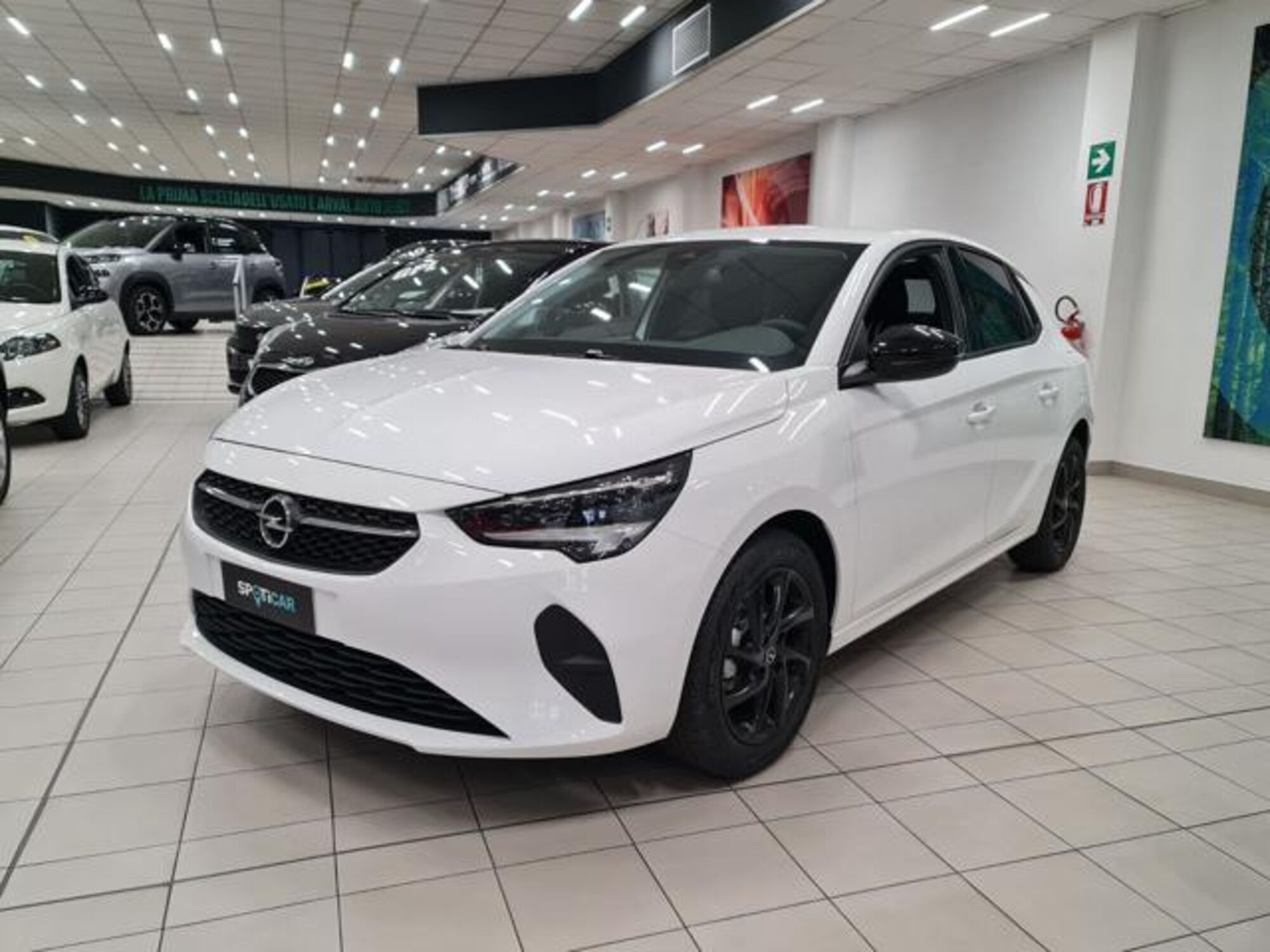 Opel Corsa 1.2 Corsa s&amp;s 75cv nuova a Pianezza