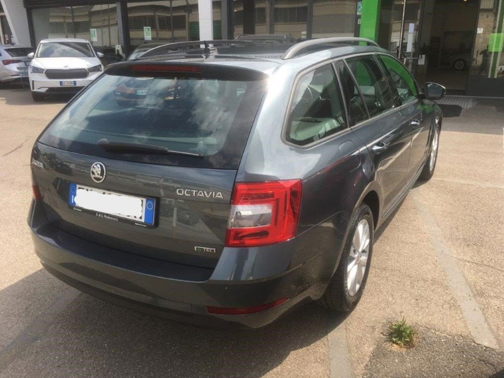 Skoda Octavia Station Wagon usata a Modena (11)