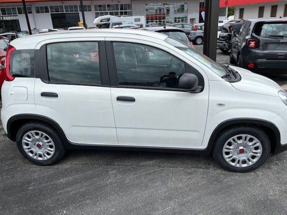 Fiat Panda nuova a Torino (2)