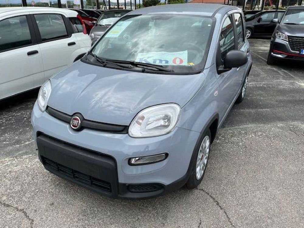 Fiat Panda nuova a Torino