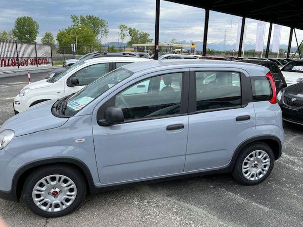 Fiat Panda nuova a Torino (2)