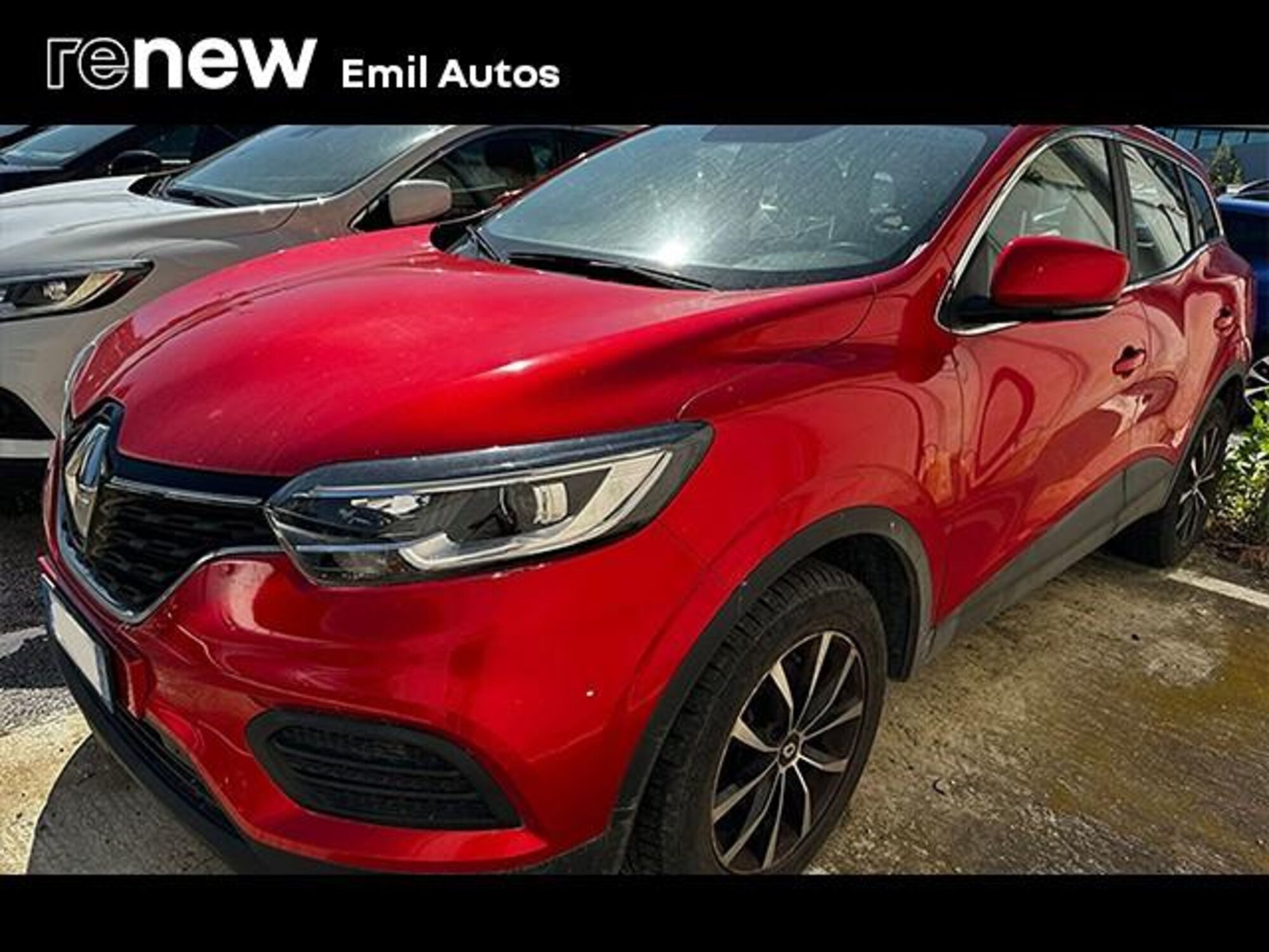 Renault Kadjar dCi 8V 115CV Life  del 2020 usata a San Benedetto del Tronto