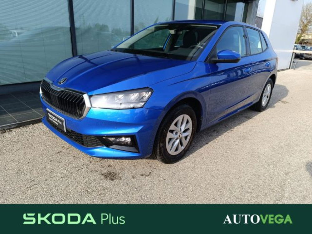 Skoda Fabia usata a Vicenza