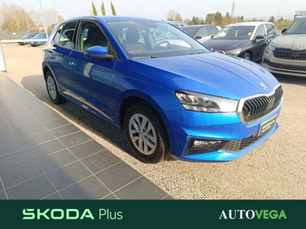 Skoda Fabia usata a Vicenza (3)