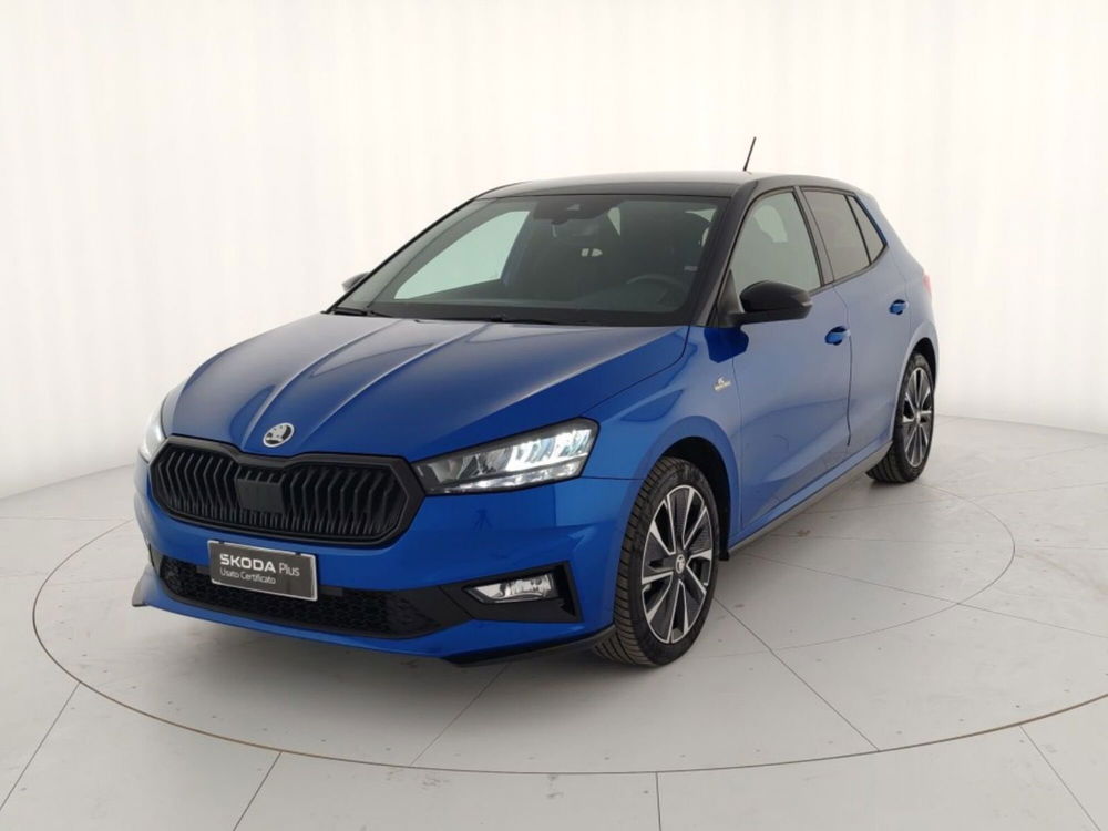 Skoda Fabia usata a Massa-Carrara