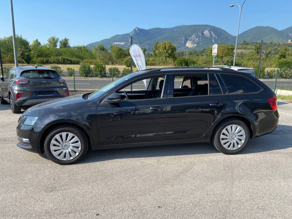 Skoda Octavia Station Wagon usata a Terni (16)