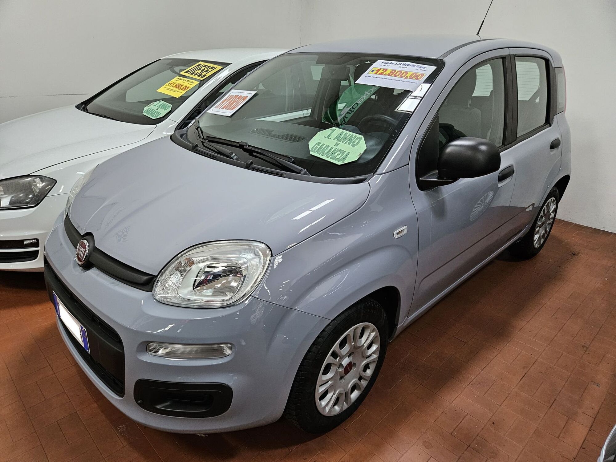 Fiat Panda 1.0 FireFly S&amp;S Hybrid City Cross  del 2022 usata a Altopascio