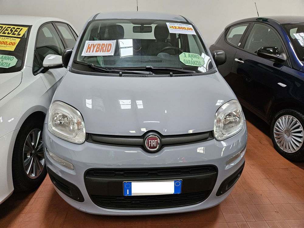 Fiat Panda Cross usata a Lucca (2)