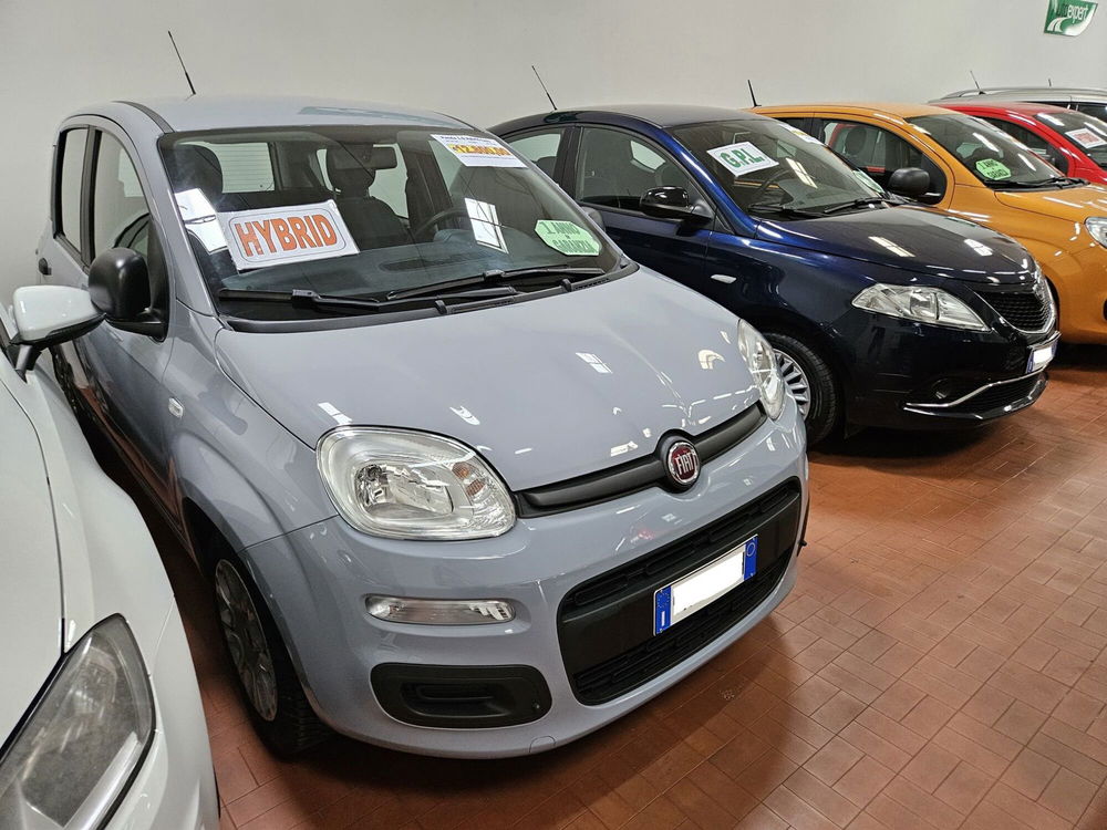 Fiat Panda Cross usata a Lucca (3)