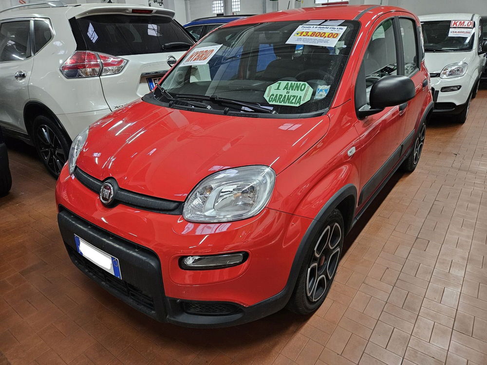 Fiat Panda usata a Lucca