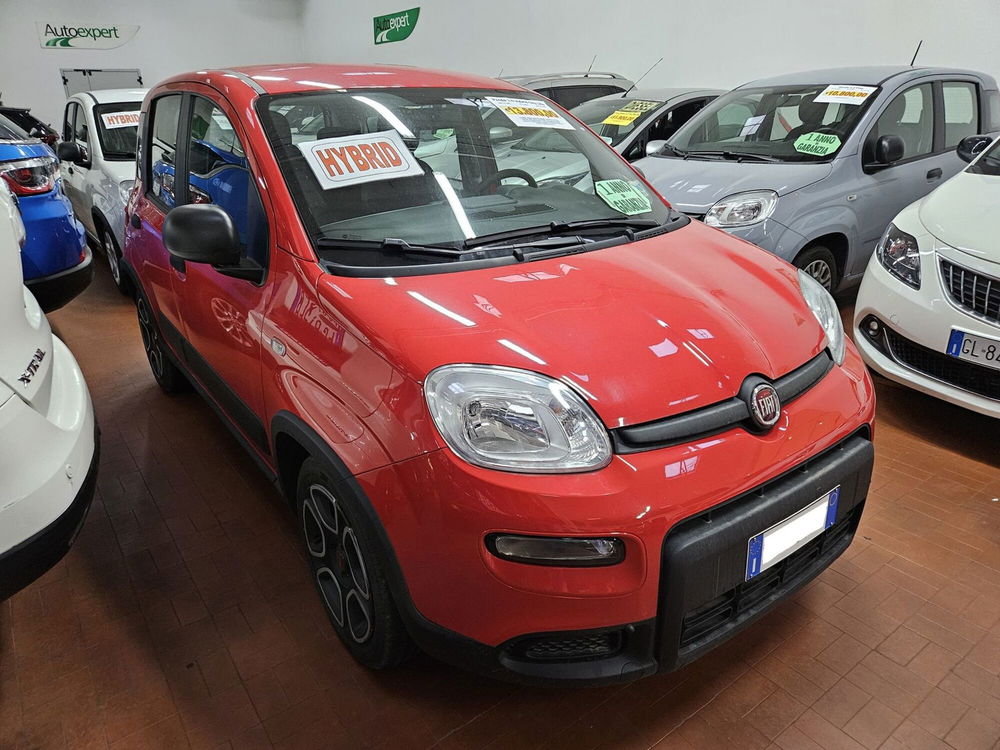 Fiat Panda usata a Lucca (6)