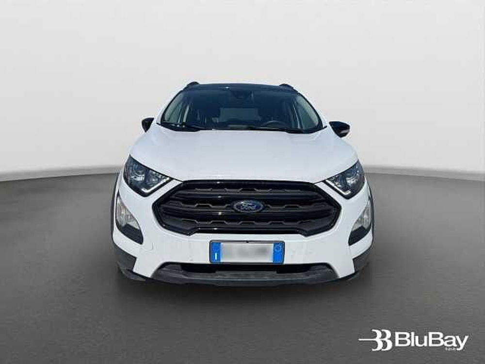 Ford EcoSport usata a Livorno (2)