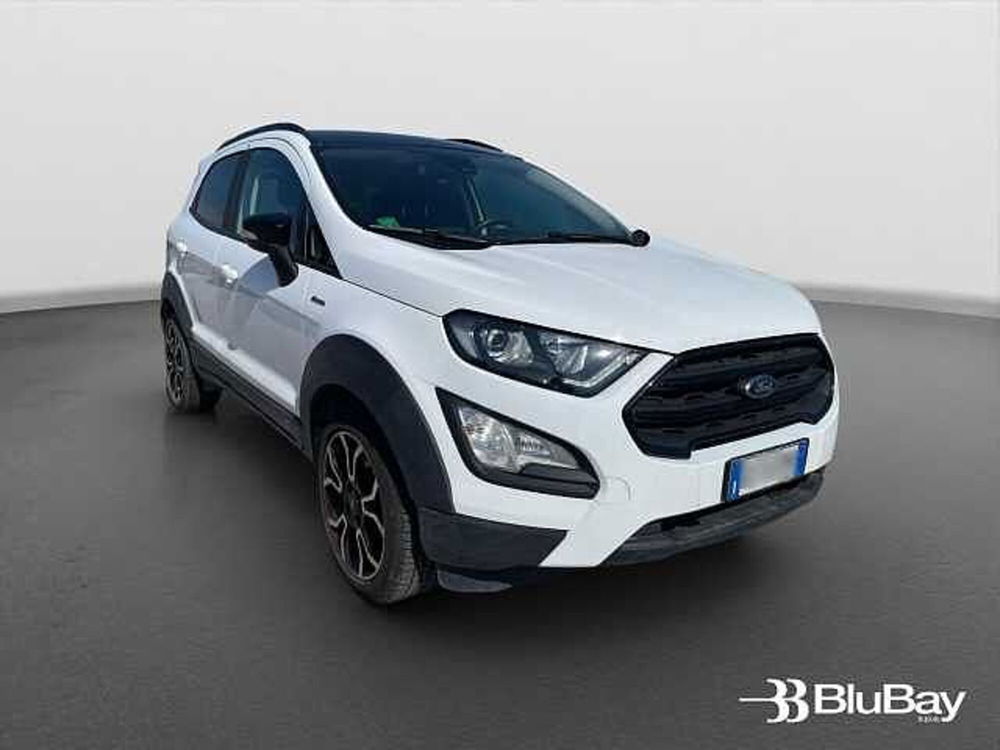 Ford EcoSport usata a Livorno (3)