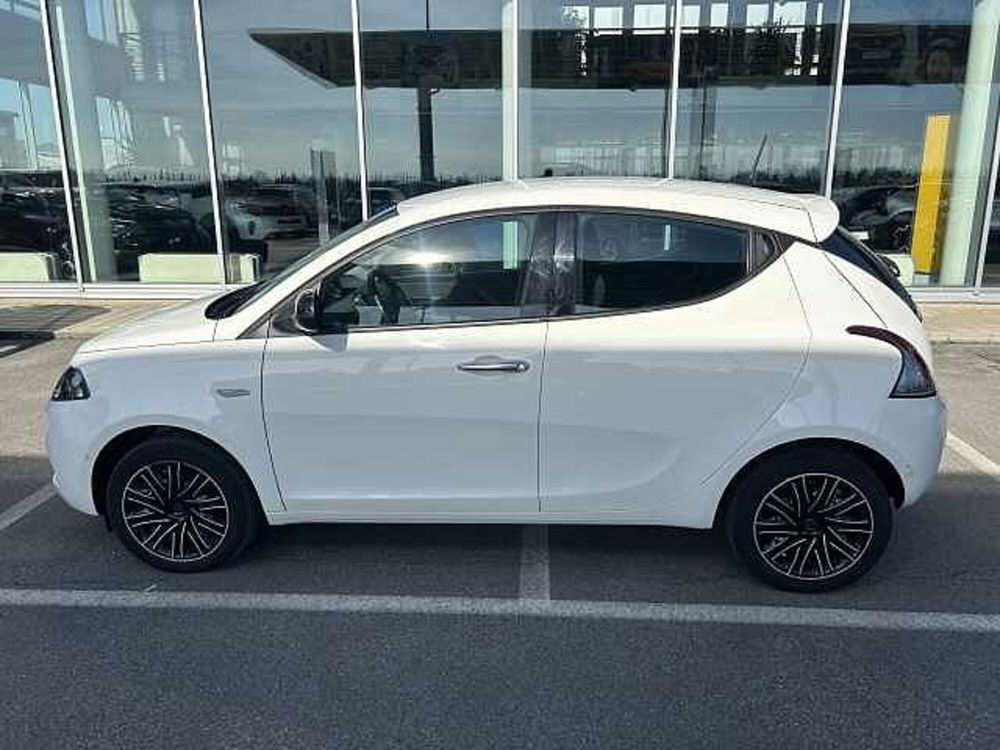 Lancia Ypsilon usata a Ravenna (9)