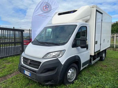 Fiat Ducato Telaio cabinato 35 2.3 MJT 150CV PL Cabinato  del 2017 usata a Torino