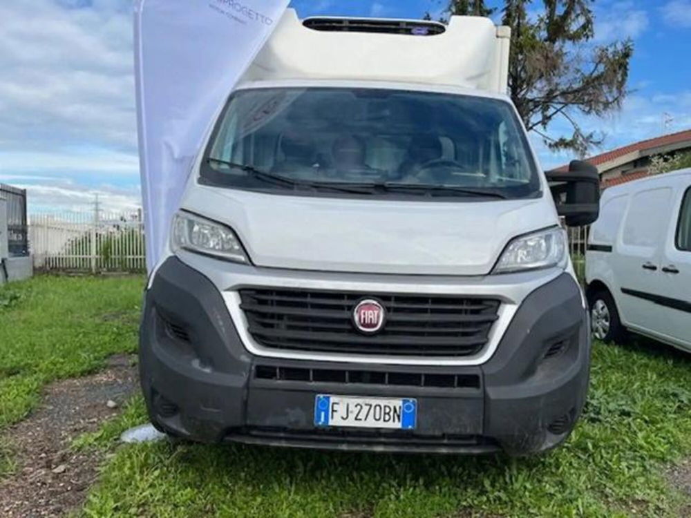 Fiat Ducato Telaio cabinato usata a Torino (2)