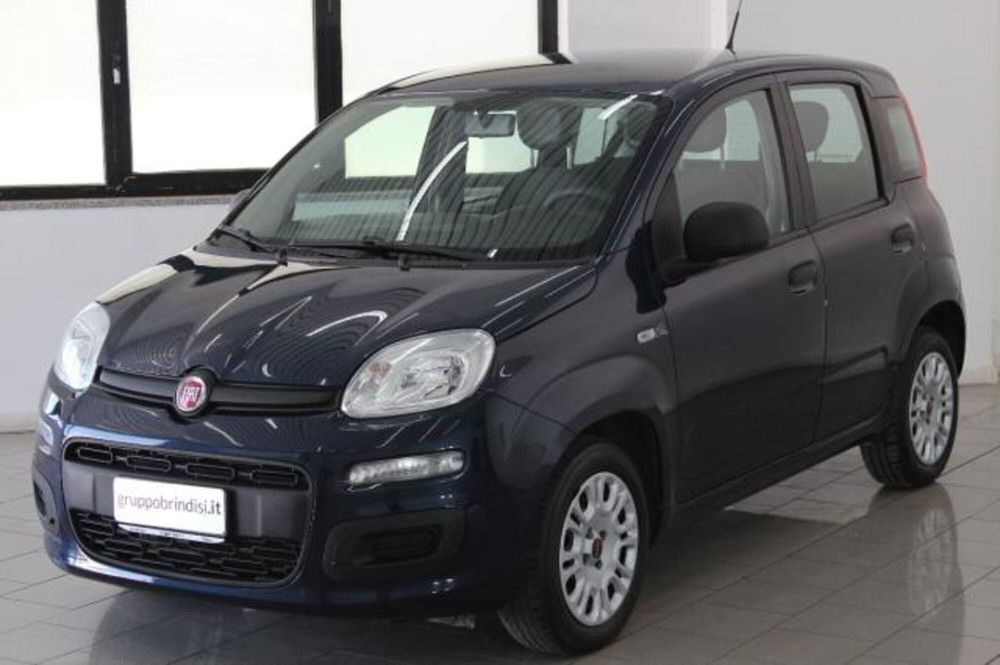 Fiat Panda usata a Potenza (3)