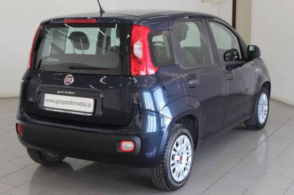 Fiat Panda usata a Potenza (4)