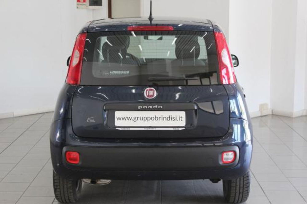 Fiat Panda usata a Potenza (5)