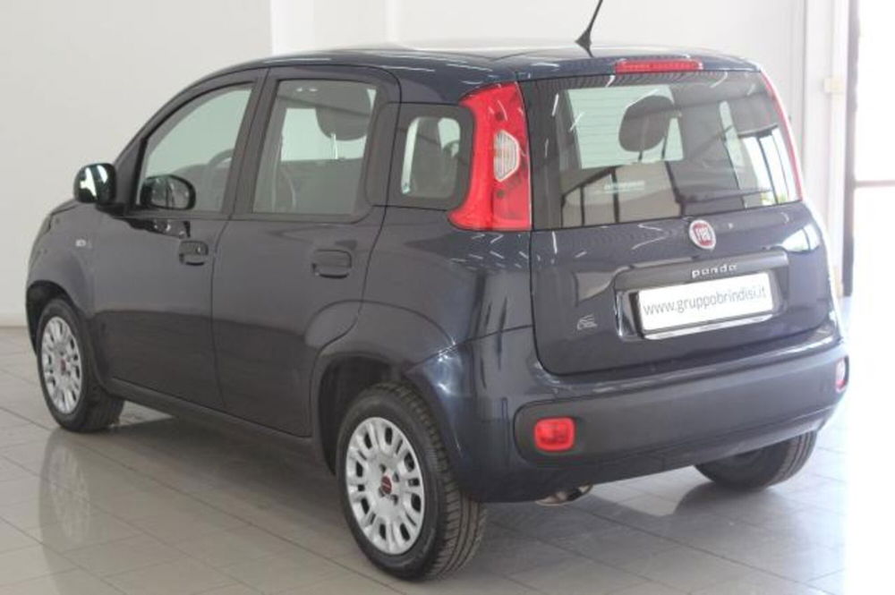 Fiat Panda usata a Potenza (6)