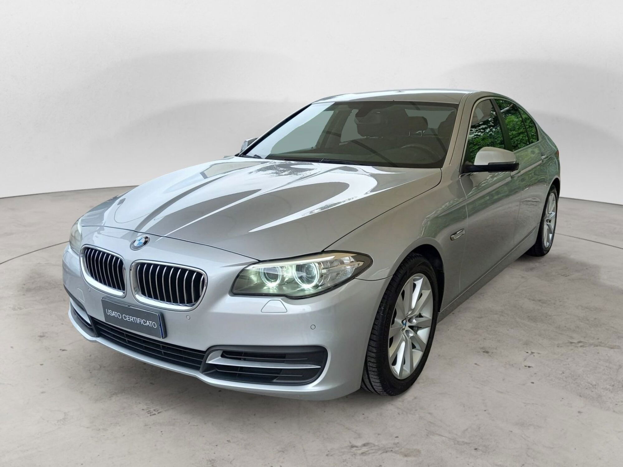 BMW Serie 5 518d Business aut.  del 2013 usata a Bari