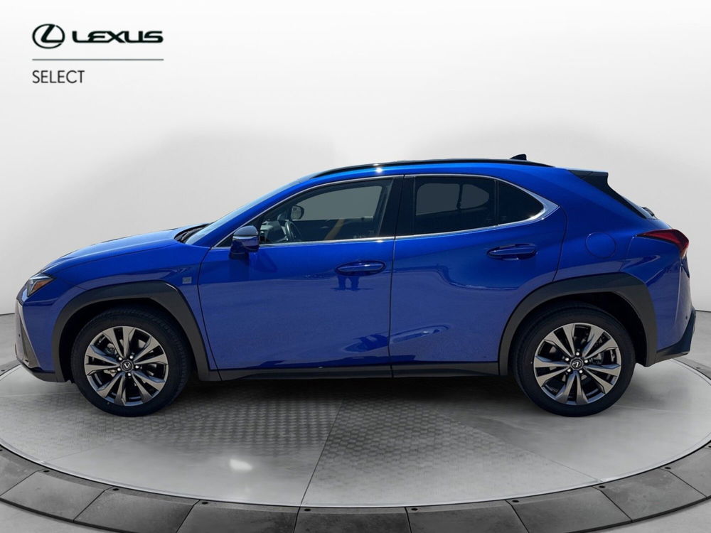 Lexus UX usata a Siracusa (2)