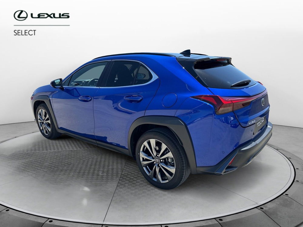 Lexus UX usata a Siracusa (4)