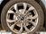 Ford Focus Station Wagon Focus SW 1.0t ecoboost h ST-Line 125cv del 2023 usata a Albano Laziale (14)