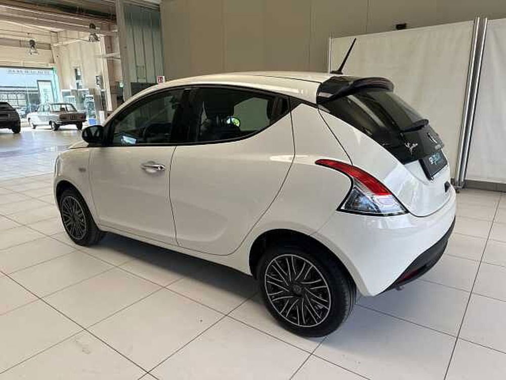 Lancia Ypsilon usata a Ravenna (2)