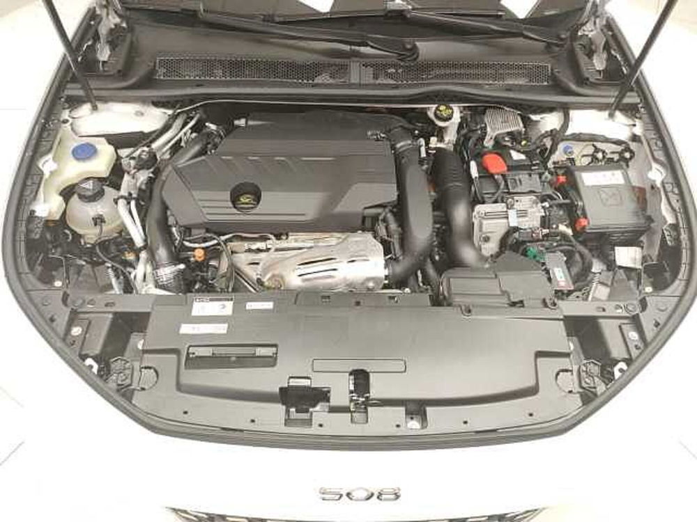 Peugeot 508 SW usata a Teramo (10)