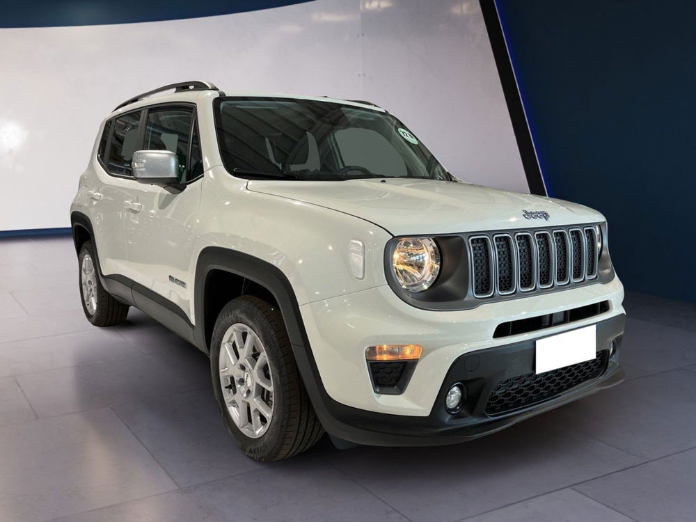 Jeep Renegade usata a Torino (2)