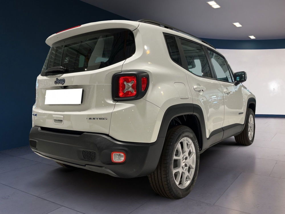 Jeep Renegade usata a Torino (5)