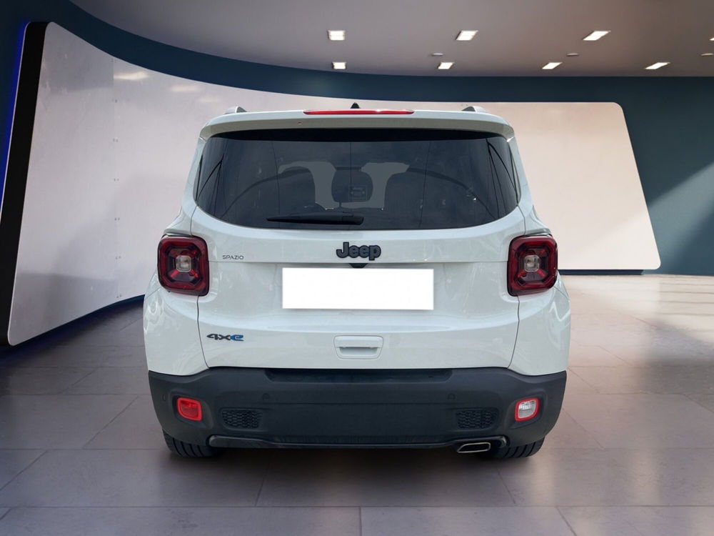 Jeep Renegade usata a Torino (5)