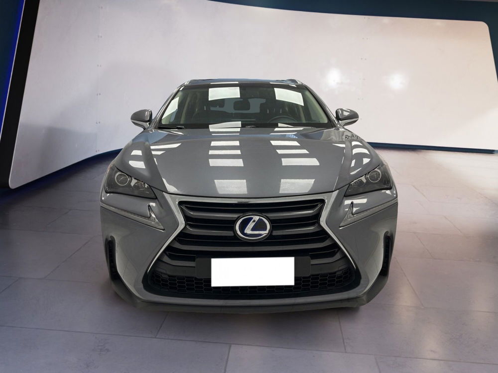 Lexus NX usata a Torino