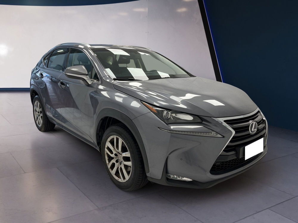 Lexus NX usata a Torino (2)