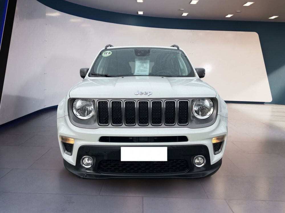 Jeep Renegade usata a Torino